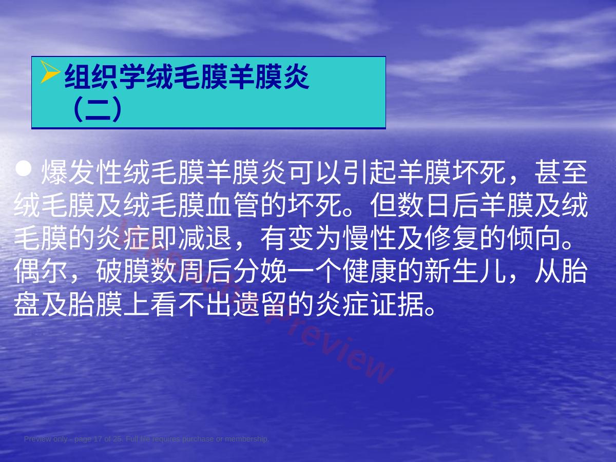 预览第 17 页