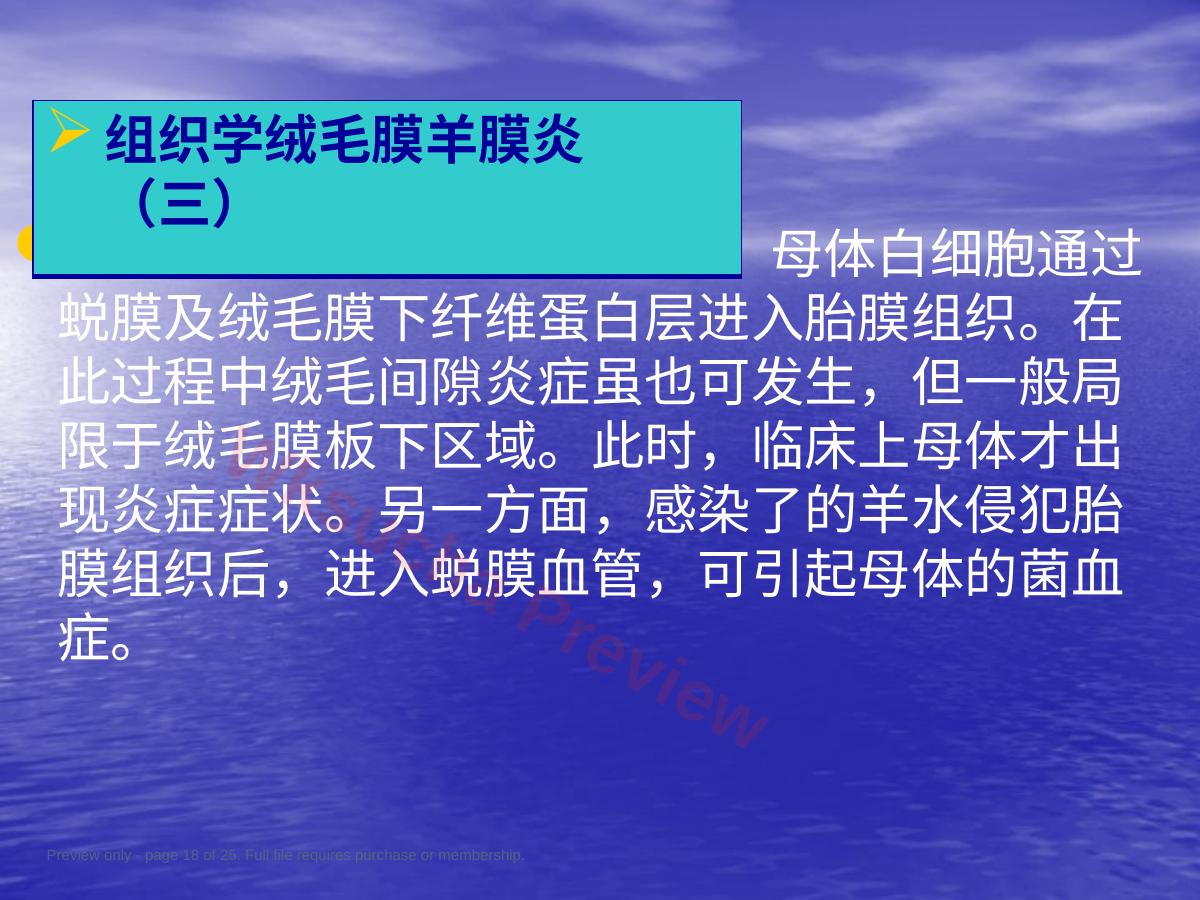 预览第 18 页