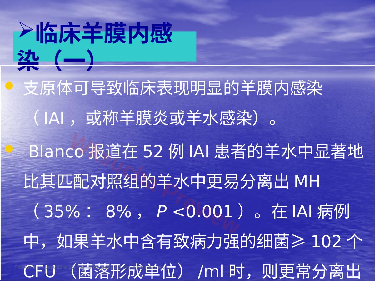 预览第 19 页