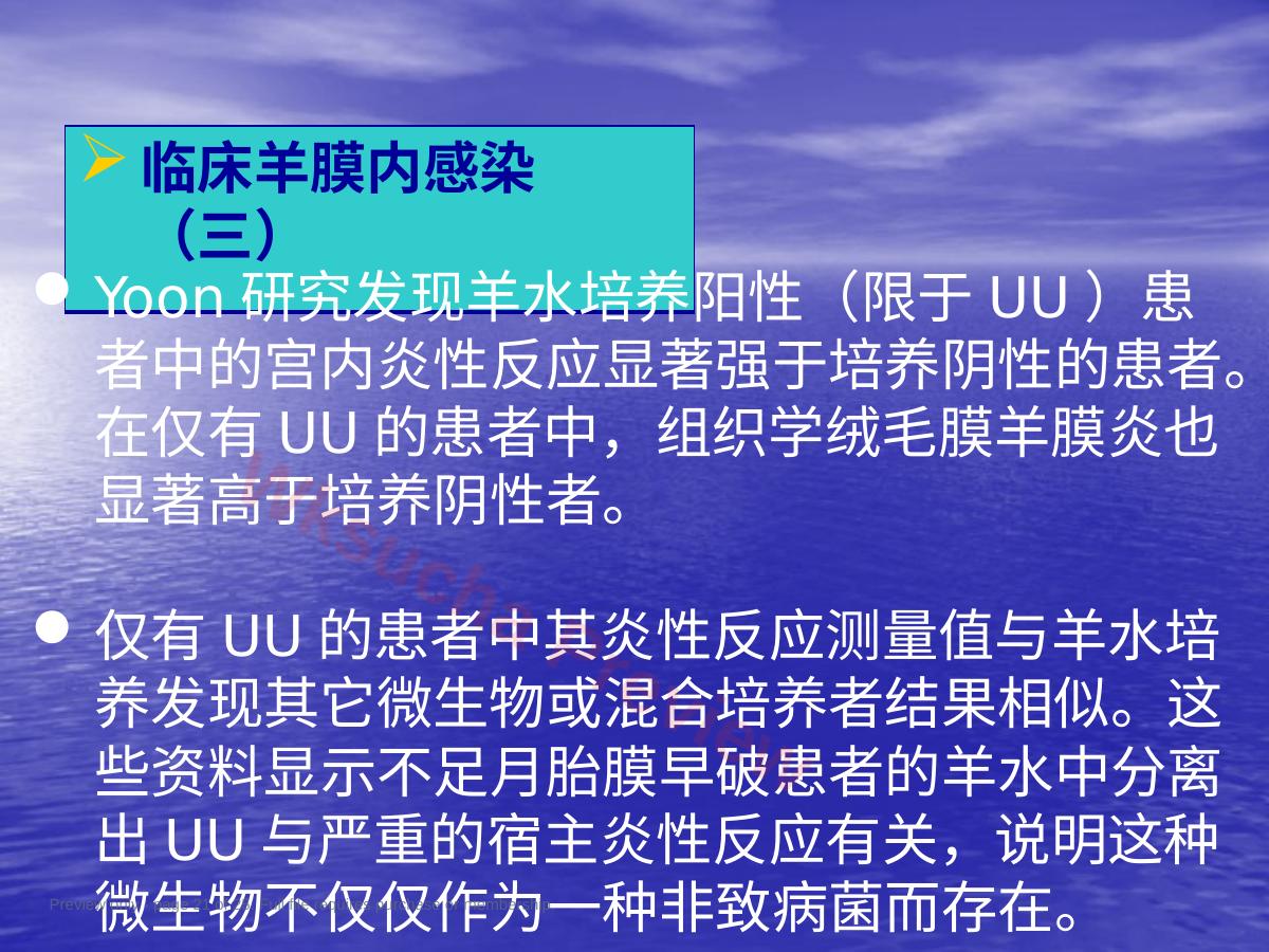 预览第 21 页