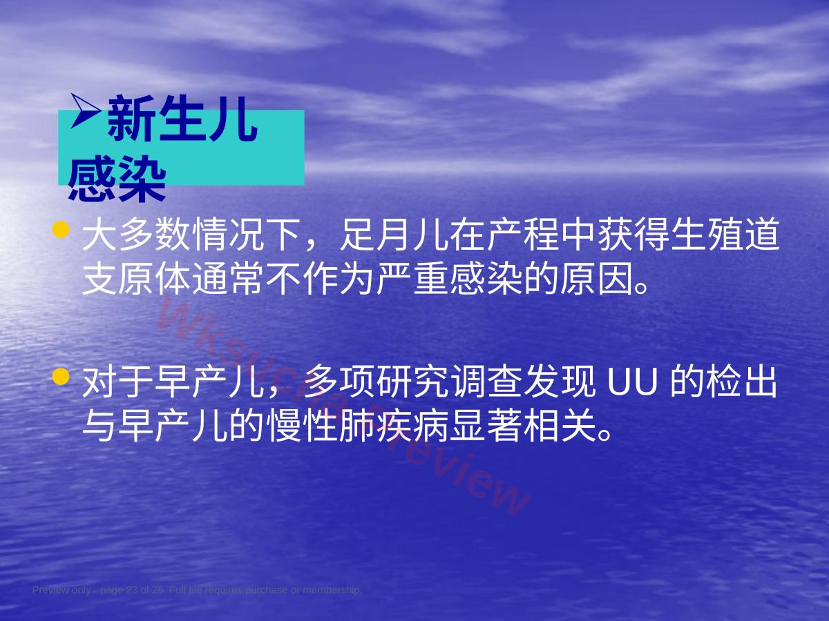 预览第 23 页
