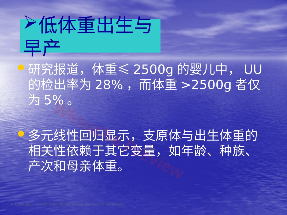 预览第 24 页