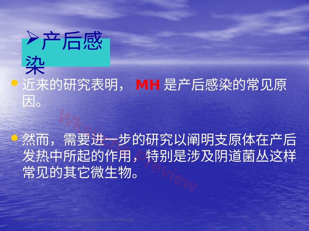 预览第 25 页