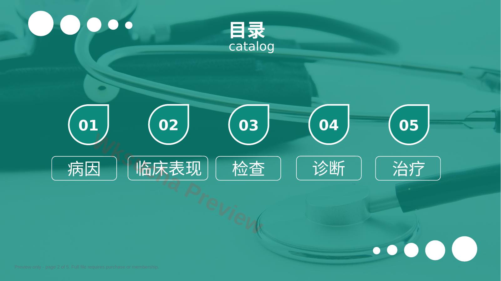 预览第 2 页