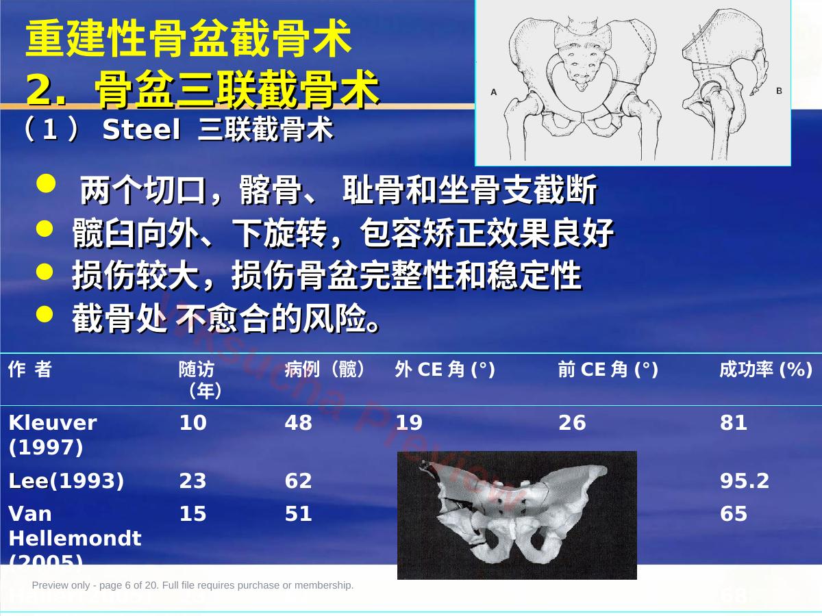 预览第 6 页