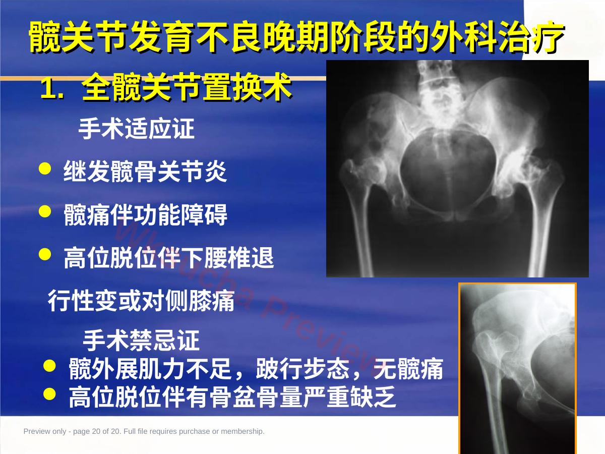 预览第 20 页