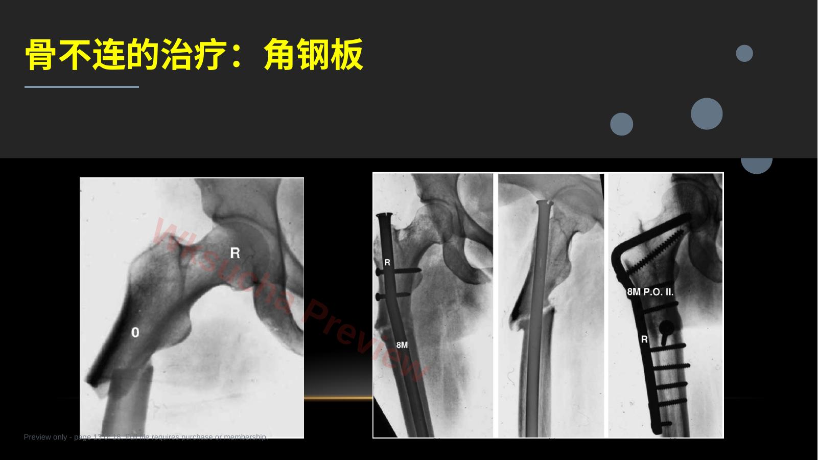 预览第 13 页