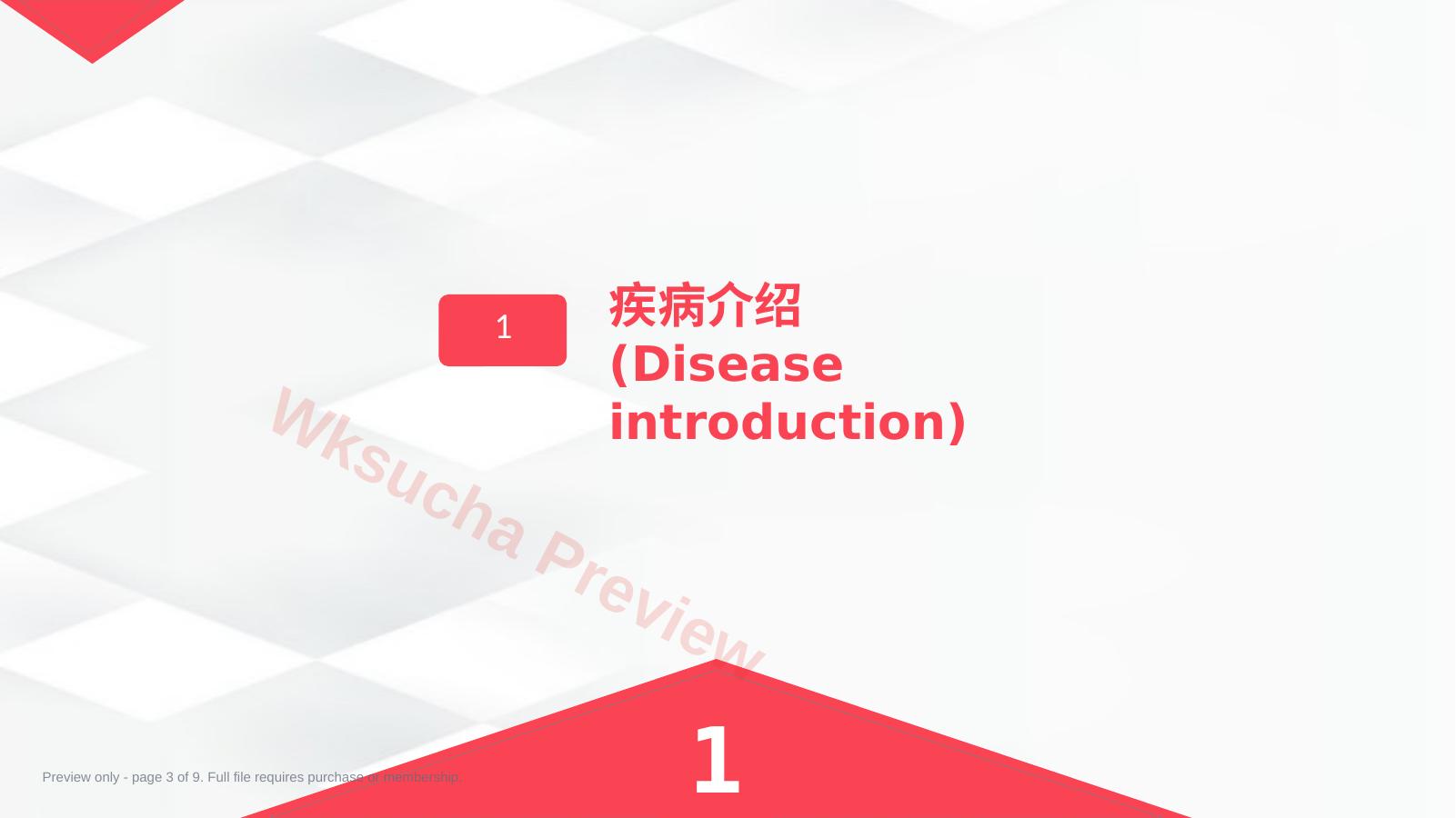 预览第 3 页