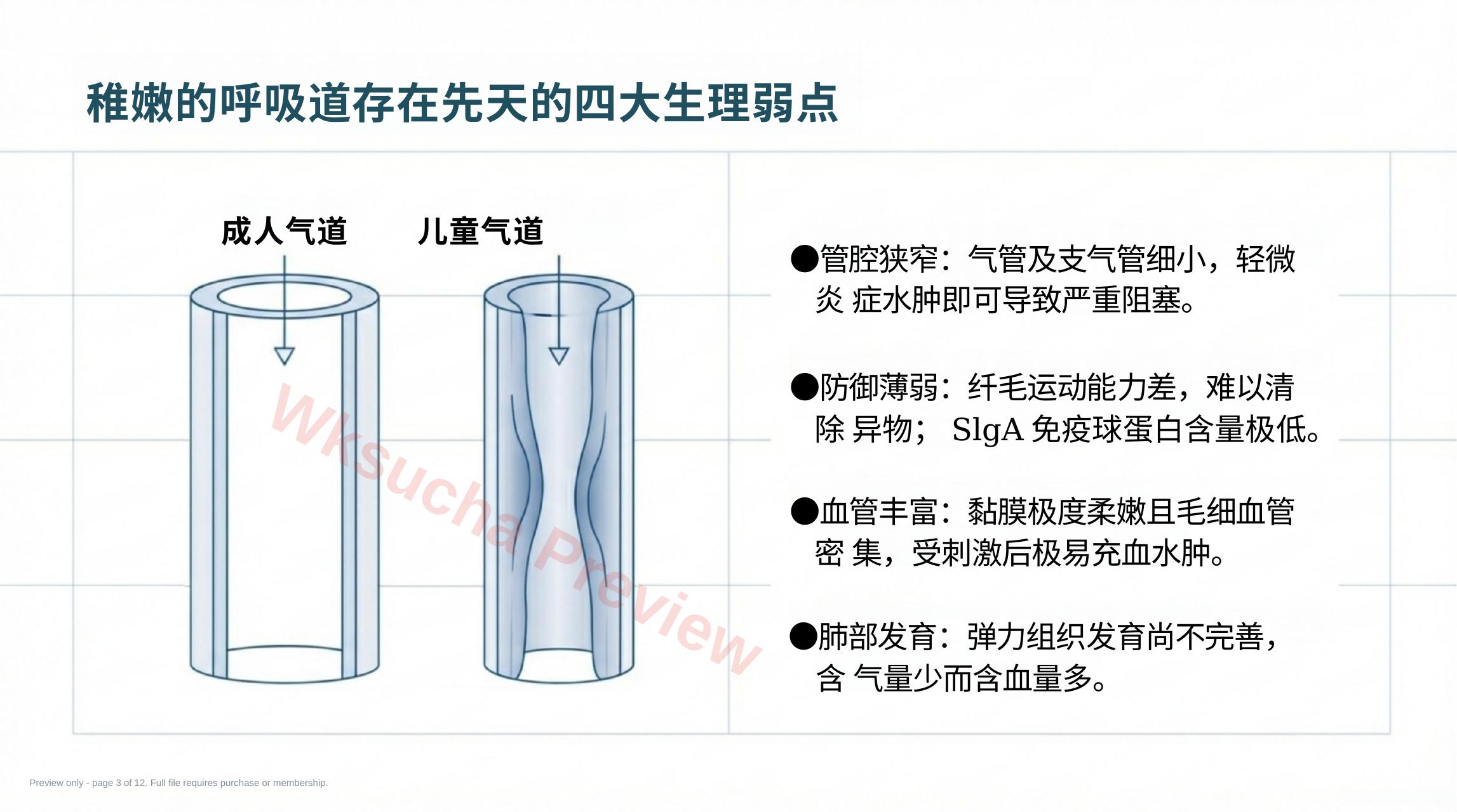 预览第 3 页