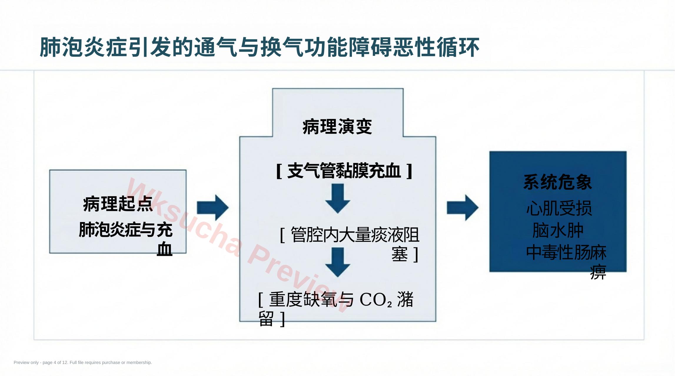预览第 4 页