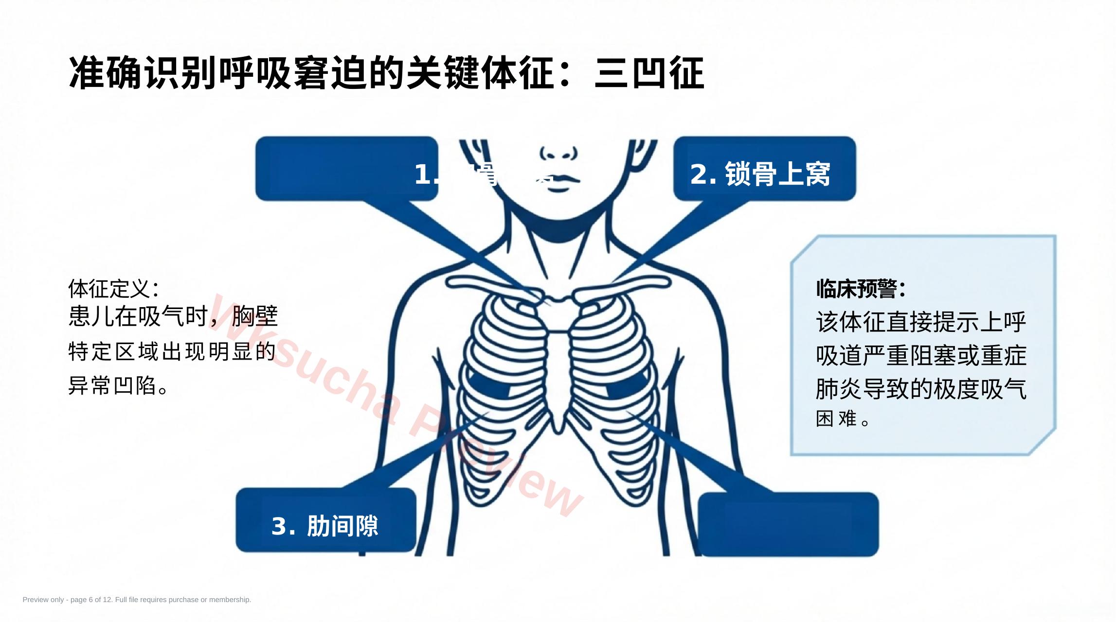 预览第 6 页