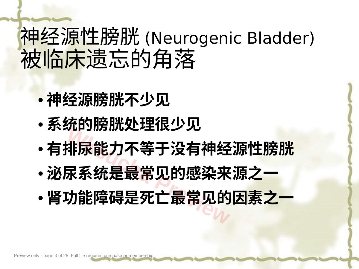 预览第 3 页