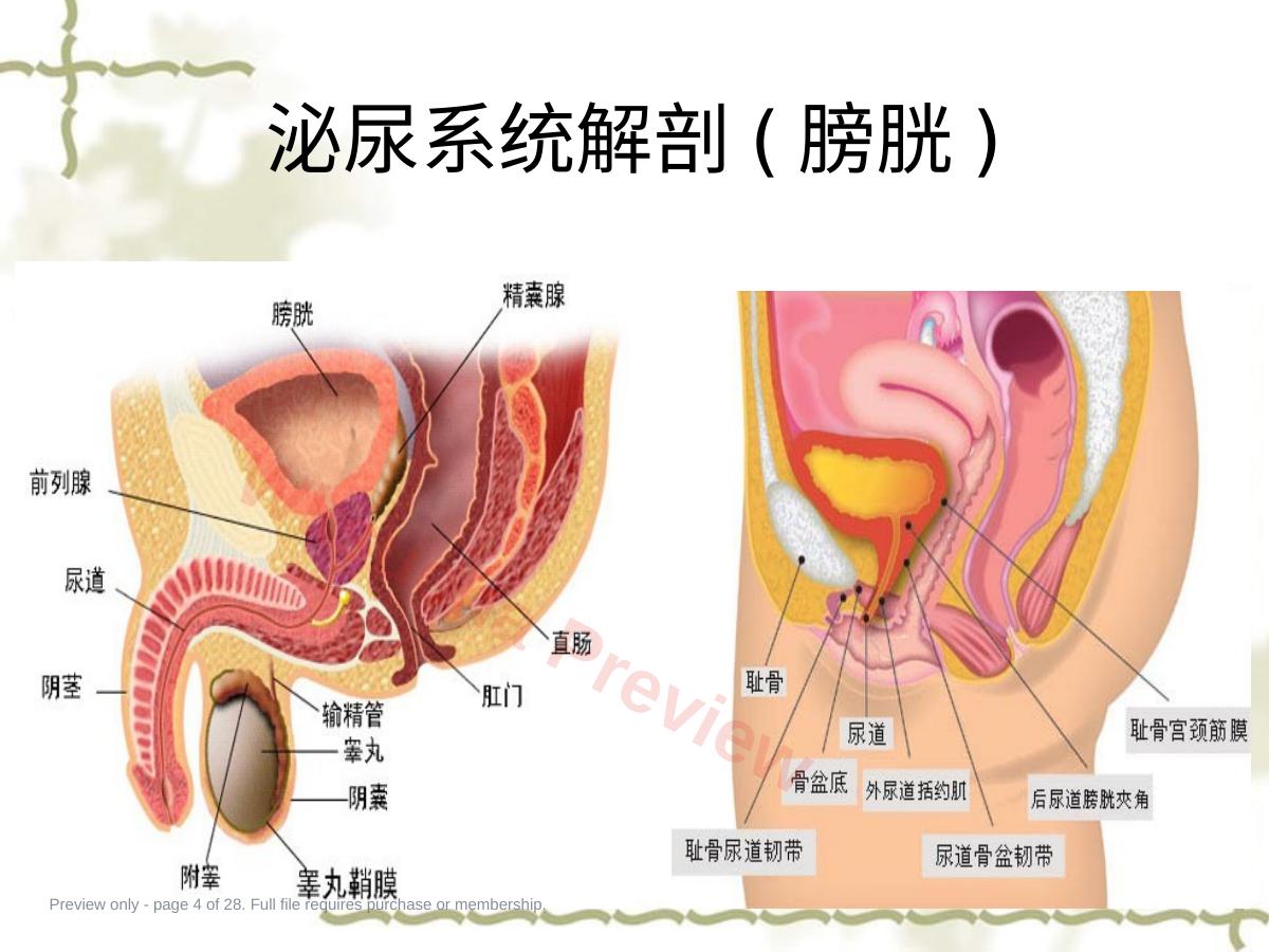 预览第 4 页