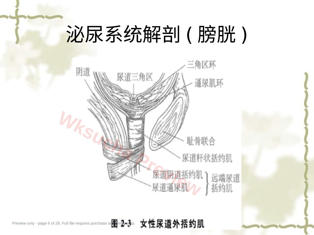 预览第 6 页