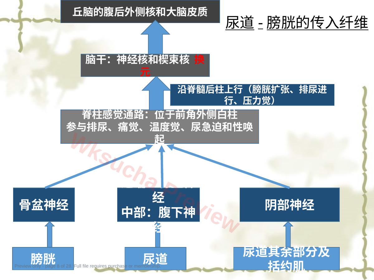 预览第 8 页