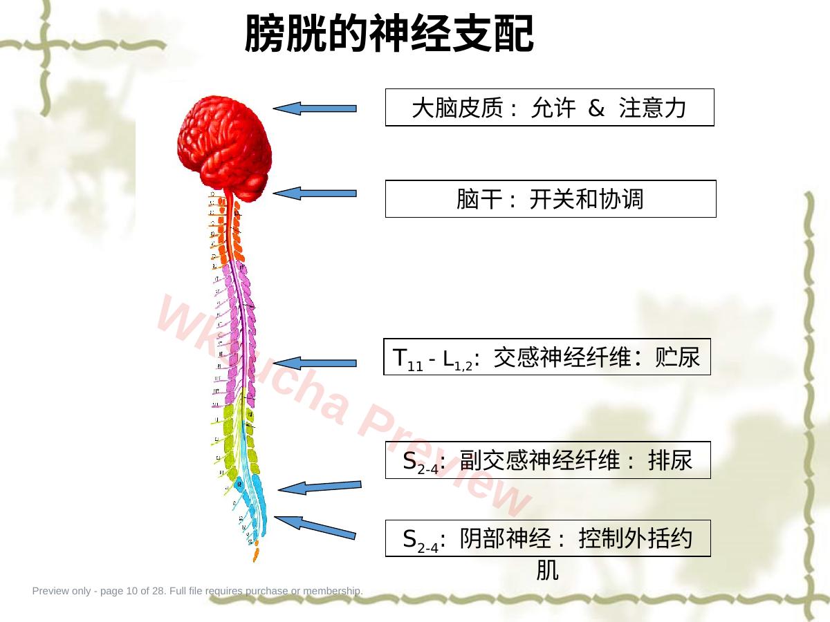 预览第 10 页