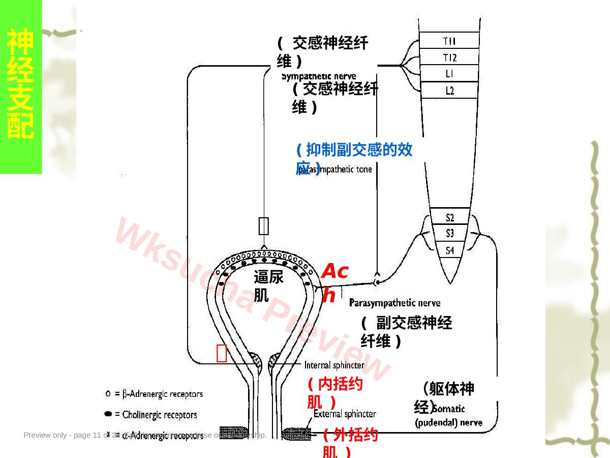 预览第 11 页