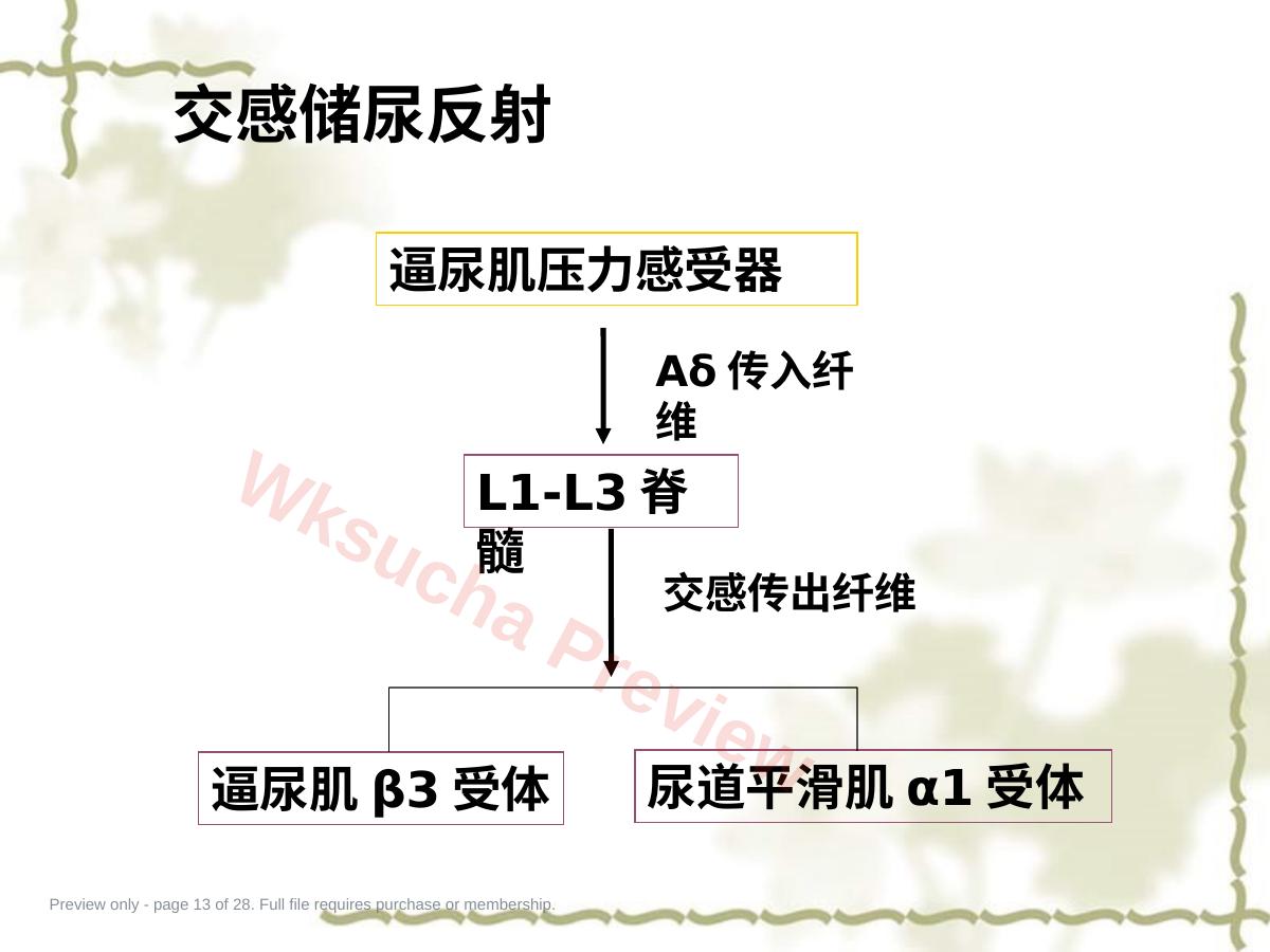 预览第 13 页