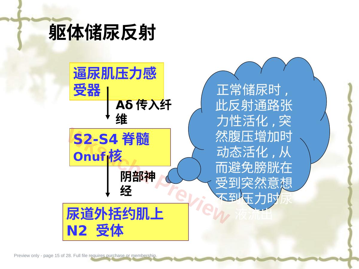 预览第 15 页