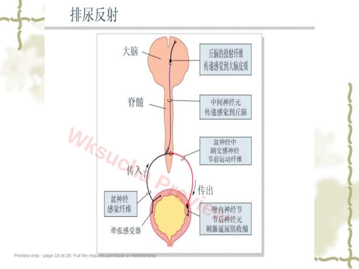 预览第 18 页
