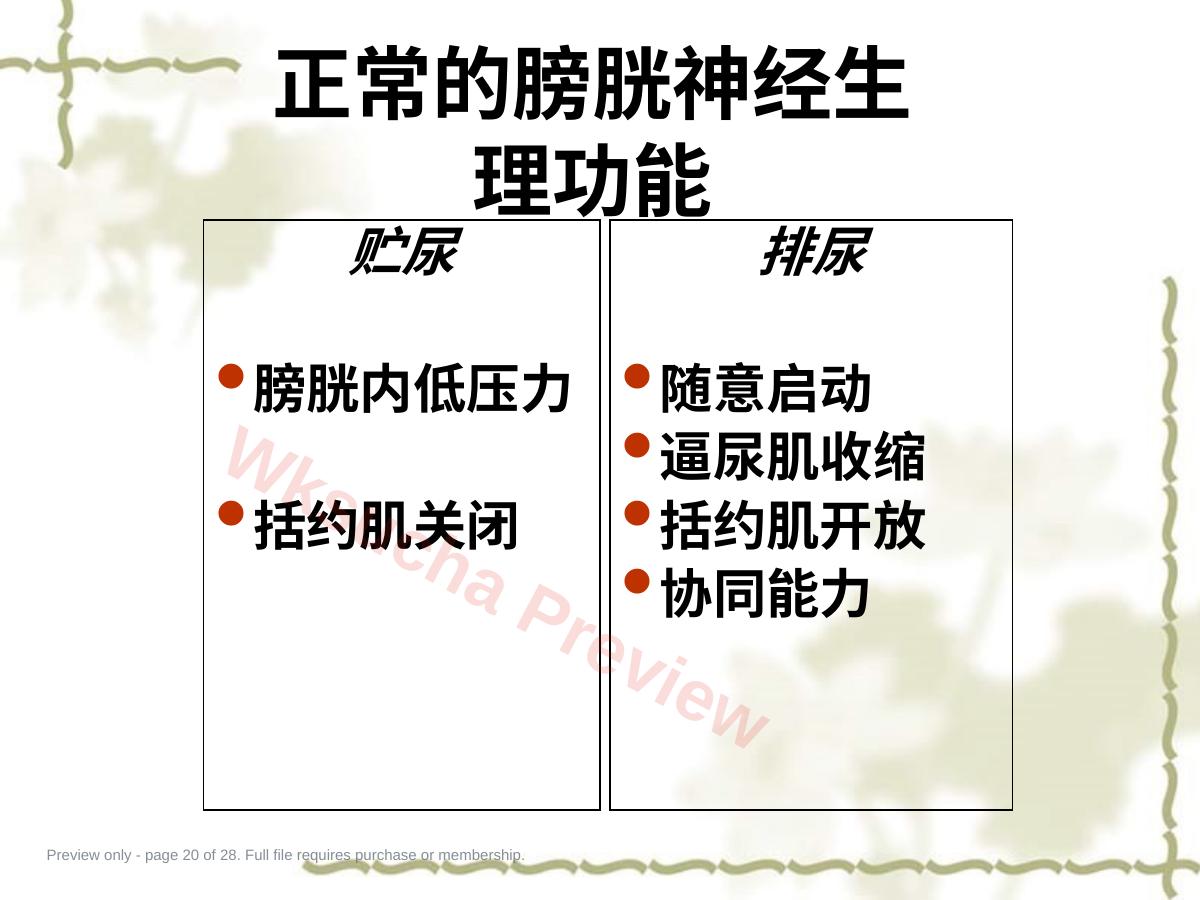 预览第 20 页