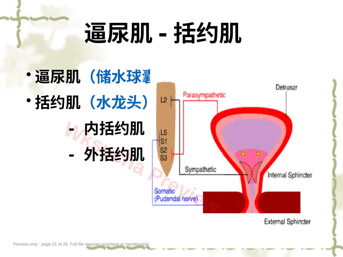 预览第 21 页