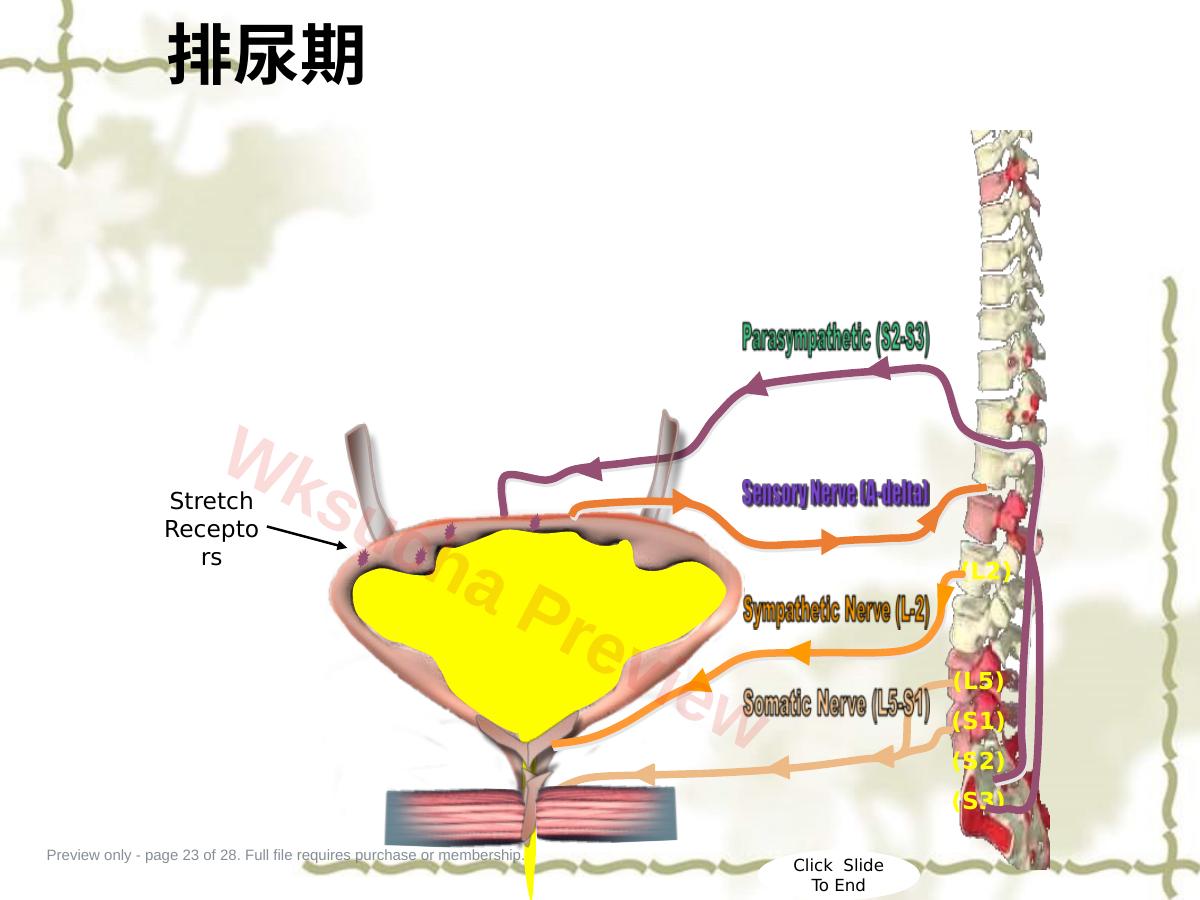 预览第 23 页