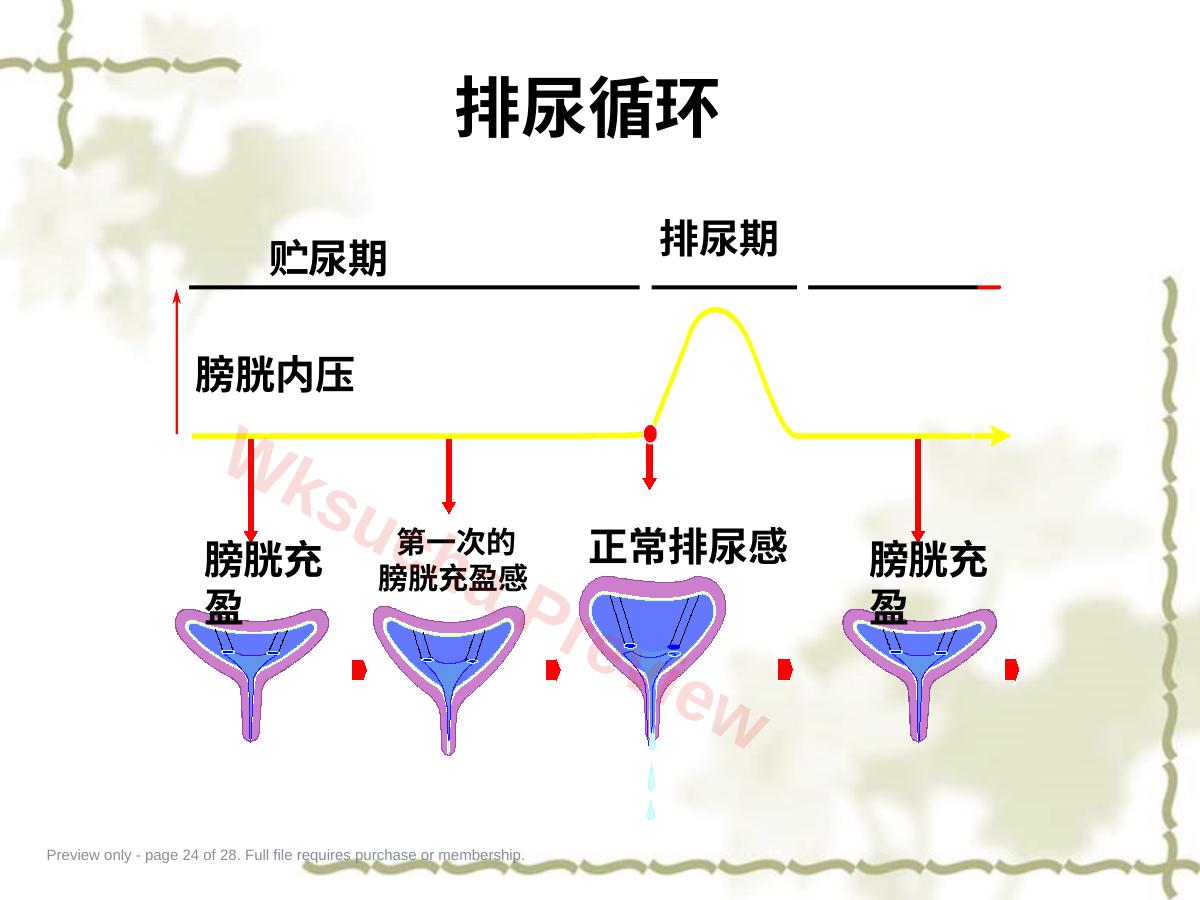 预览第 24 页