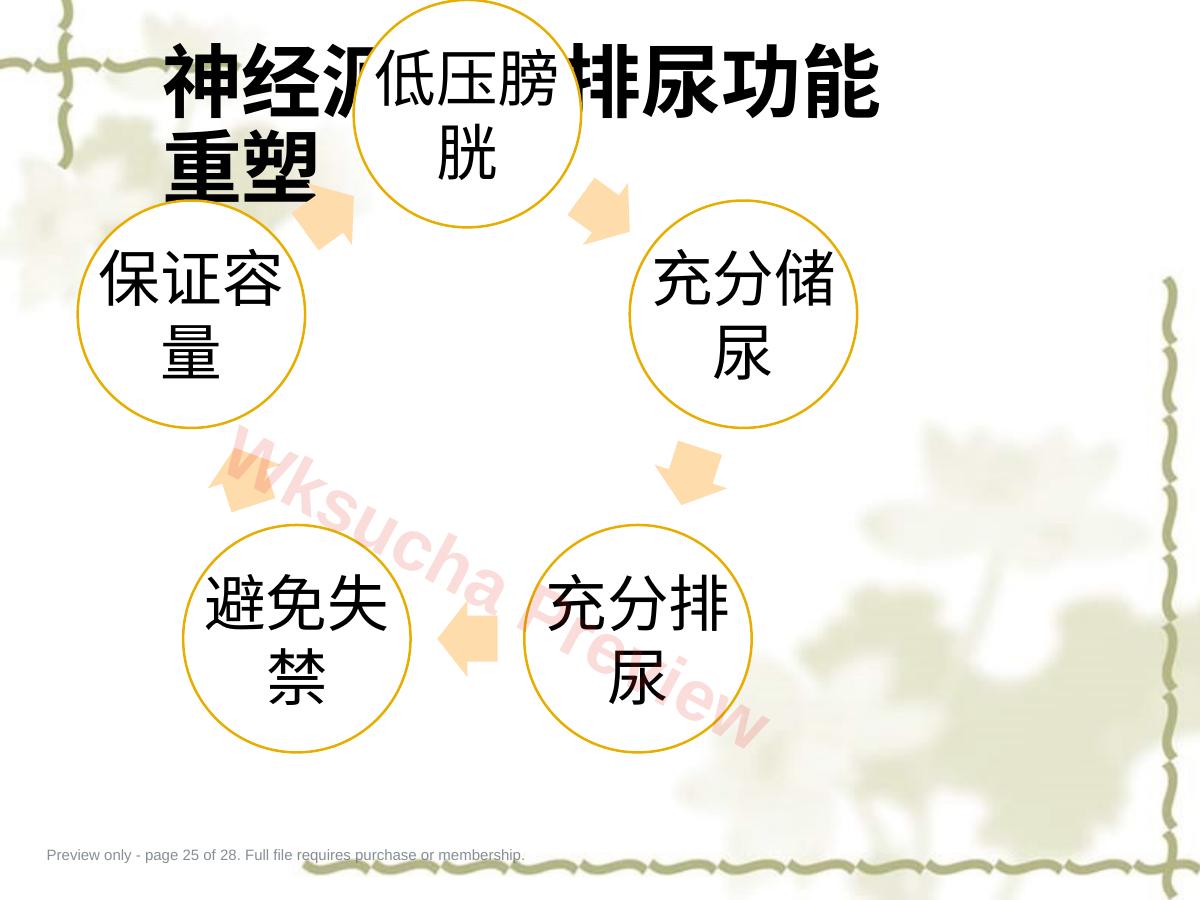预览第 25 页
