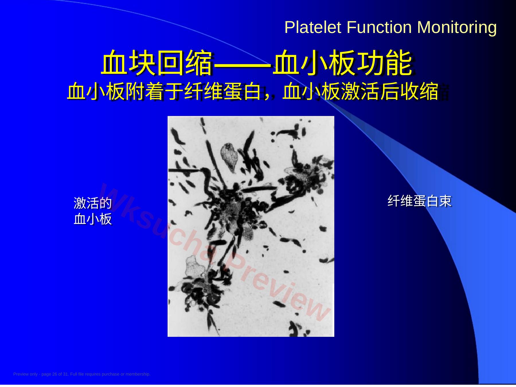 预览第 26 页