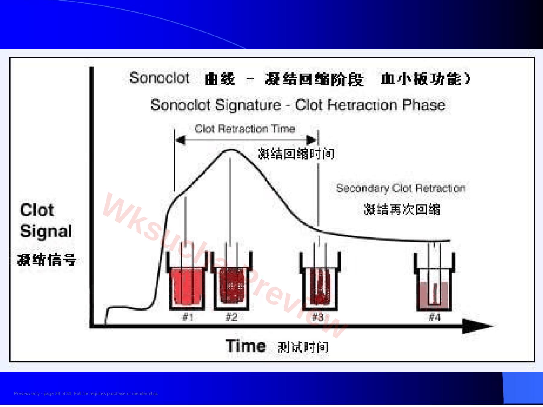 预览第 28 页
